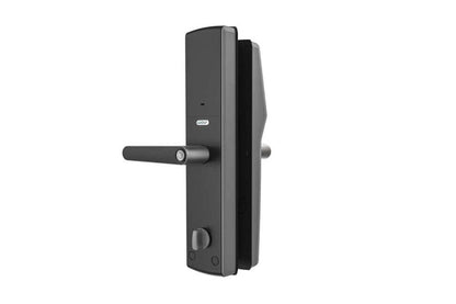 Lockly Secure Lux Mortise Edition (PGD829AF)