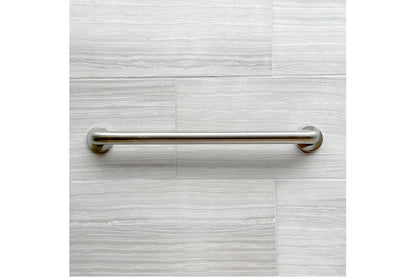 ZDS Stainless Steel Concealed Bathroom Grab Bar